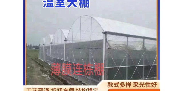 福建單體大棚工程,大棚