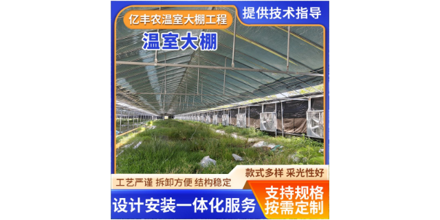 重庆草莓温室大棚项目工程