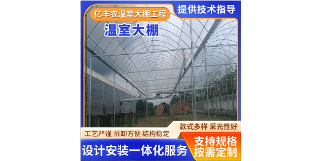 上海蔬菜温室大棚安装