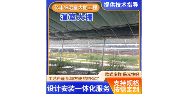 上海连体温室大棚价格