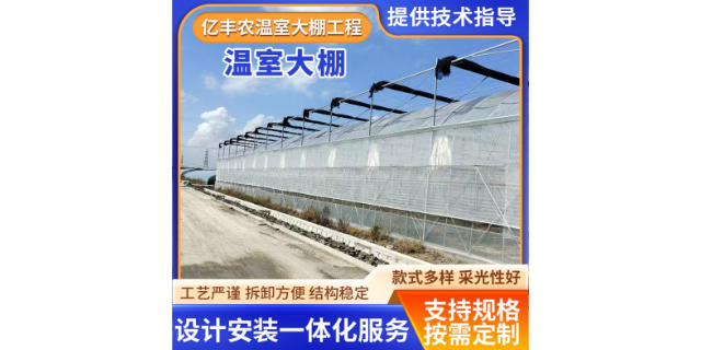 上海简易温室大棚来图定制,温室大棚