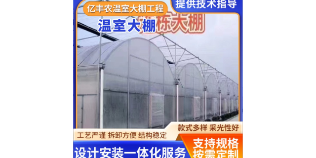 上海薄膜温室大棚项目工程