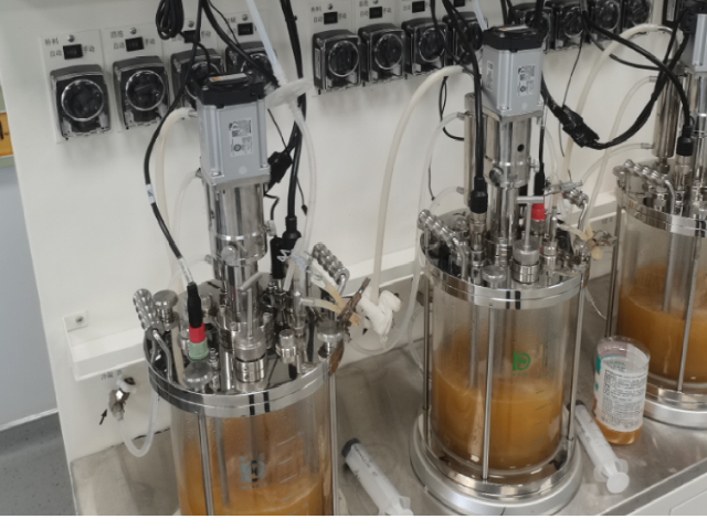 微生物培养用溶解氧电极价钱 微基智慧科技供应