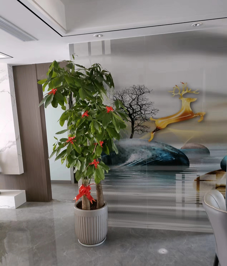 綠植租賃：打造綠色辦公環(huán)境的新選擇