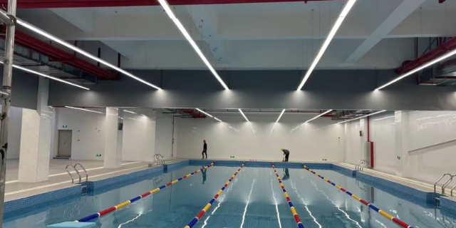 東莞會所游泳池藥劑供應(yīng) 誠信經(jīng)營 東莞市奔浪泳池設(shè)備供應(yīng)