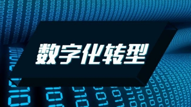 管理数字化转型包含 济宁济信服信息技术供应