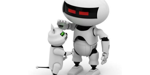 江苏自制机器人价目,机器人