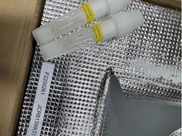 大小鼠肝細胞進口風險評估服務流程 北京澄天生物科技供應