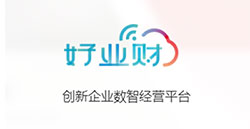 泉州ERP财务软件技术参数 厦门普信软件供应