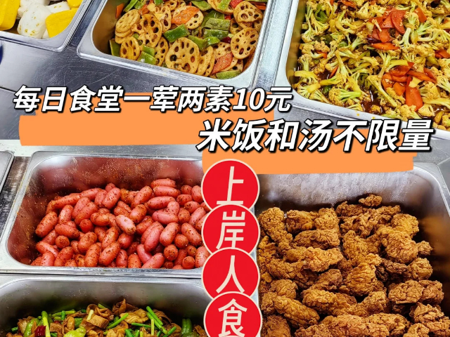 靈璧考編管理 徐州尚碩教育咨詢供應 