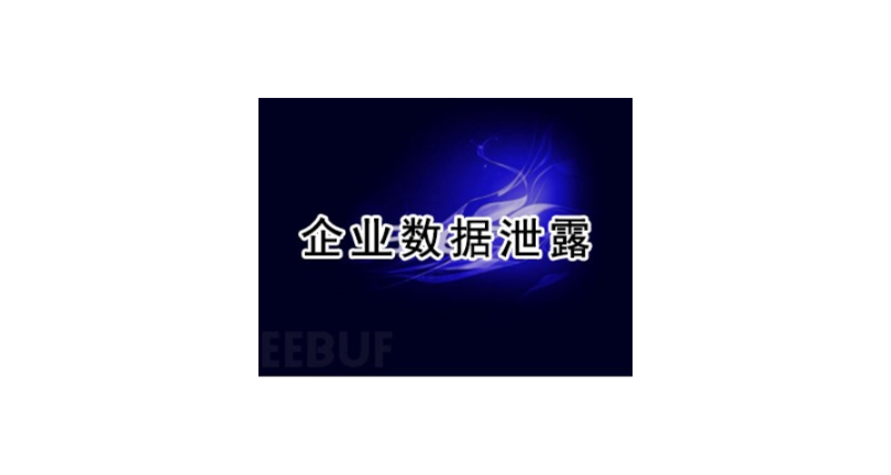 浙江pdf数据加密服务 上海迅软信息供应