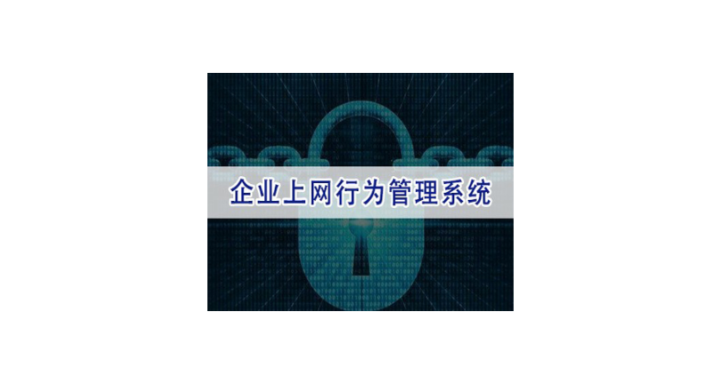 广东电脑上网行为管控服务 上海迅软信息供应