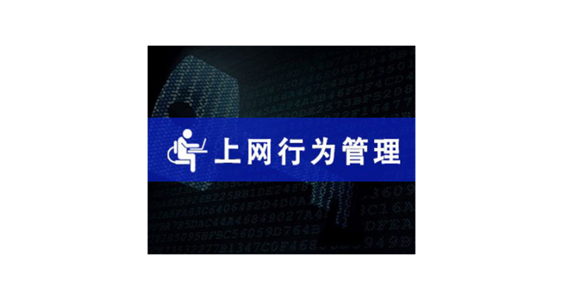 上海专业的上网行为管控怎么收费 服务为先 上海迅软信息供应