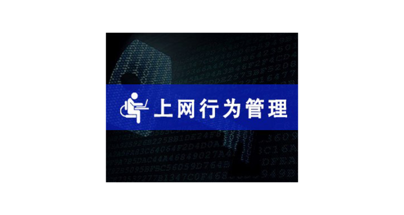 嘉兴企业部署上网行为管控系统报价