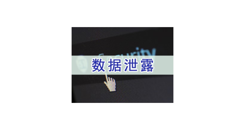 上海專業(yè)的數(shù)據(jù)加密系統(tǒng)報(bào)價(jià) 服務(wù)為先 上海迅軟信息供應(yīng)