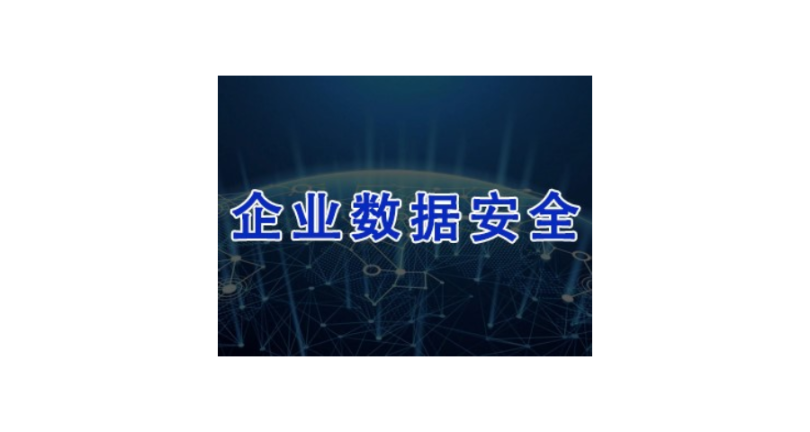 广西靠谱的数据加密厂家 上海迅软信息供应;