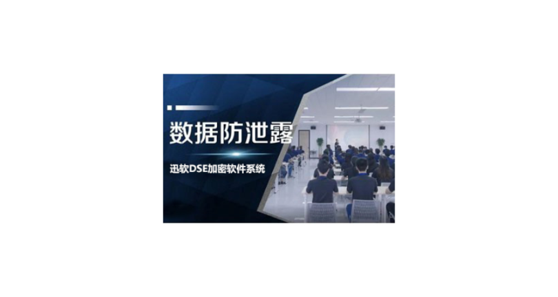 上海安全的数据加密费用 欢迎来电 上海迅软信息供应