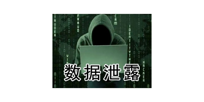 上海好用的数据加密服务 服务为先 上海迅软信息供应;