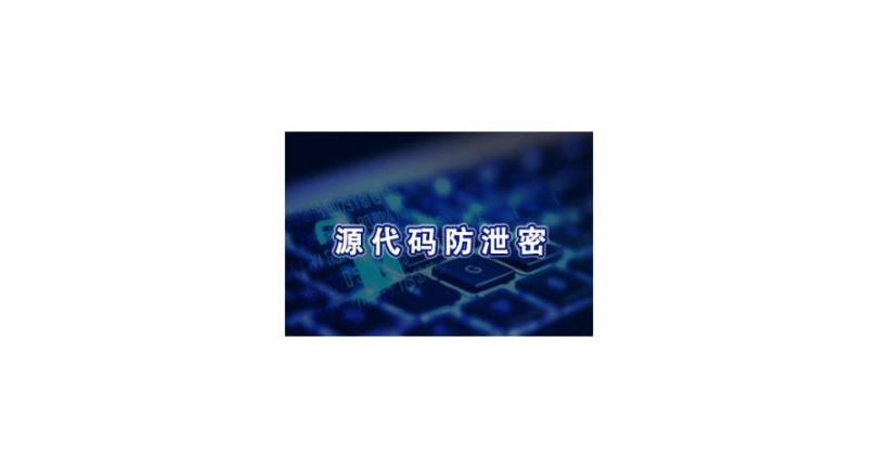 上海办公源代码加密系统报价 欢迎咨询 上海迅软信息供应