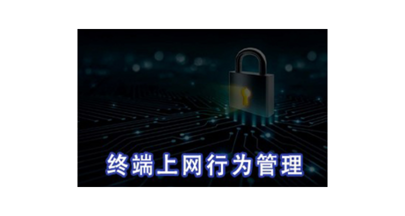 广州实时上网行为管控作用 上海迅软信息供应