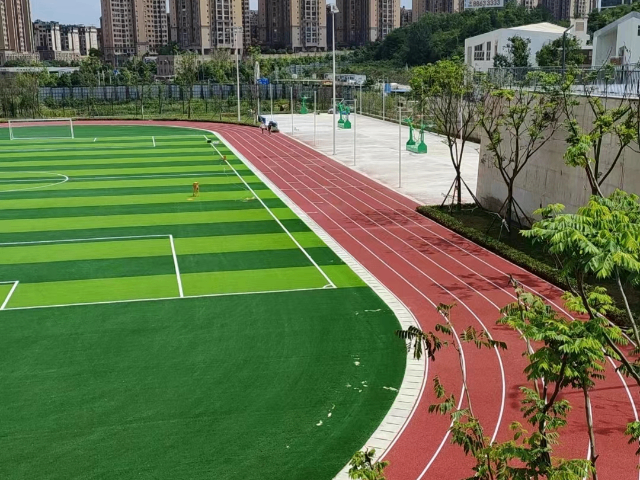 温州游乐场人造草坪多少钱一平 广东双赢体育设施供应