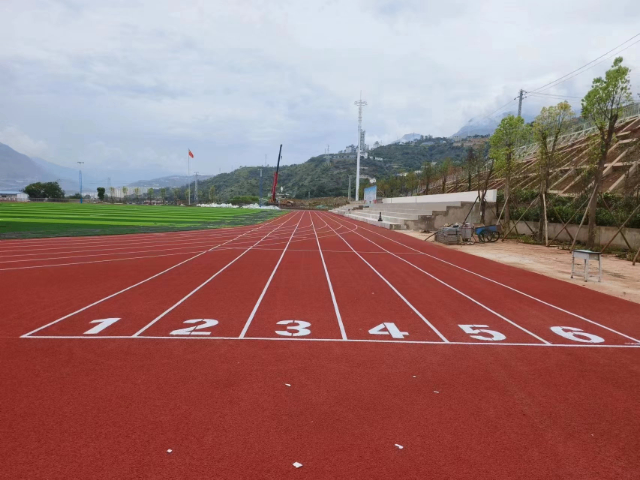 四川混合型塑胶跑道哪家好