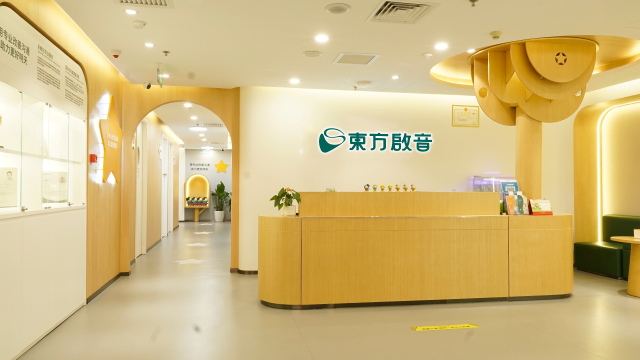 中国香港小孩自闭症机构 启音言语康复科技供应