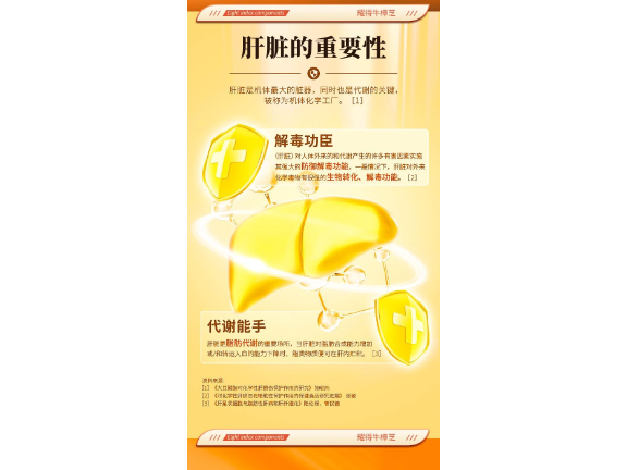 浙江良品牛樟菇和什么搭配好 上海牛樟芝健康咨询集团供应