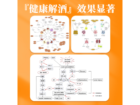 江蘇天然牛樟芝供應(yīng)商 上海牛樟芝健康咨詢集團供應(yīng)