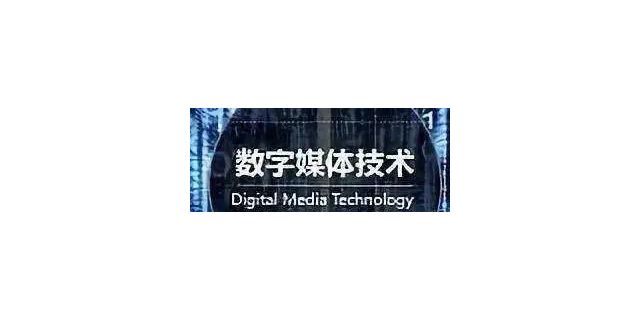 扬州一站式数字媒体代理便捷,数字媒体代理