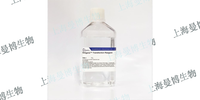 北京PEI转染试剂试用装可进行批次验证