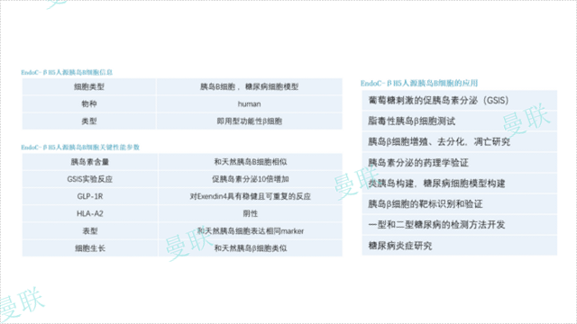 EndoC-BH1糖尿病细胞模型胰腺B细胞基因特异性表达