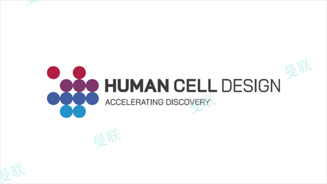 江苏Human cell design（HCD）糖尿病细胞模型