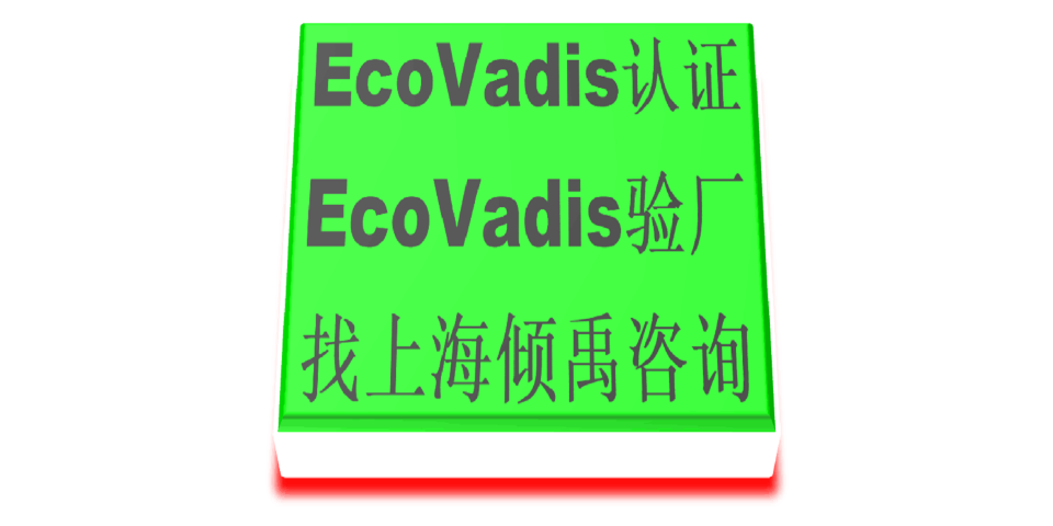 TFS认证FSC验厂迪斯尼认证Ecovadis认证验厂机构验厂咨询