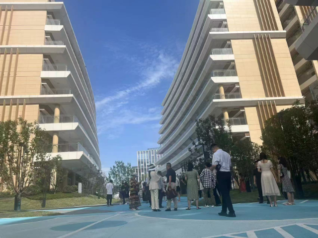 蘇州學(xué)歷電梯咨詢 推薦咨詢 蘇州蘇格慧教育科技供應(yīng)