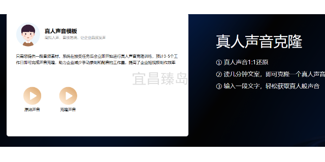 荆州网络营销数字人虚实融合,数字人