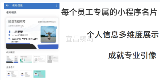 伍家岗区信息化电子名片哪个好 数字化转型 宜昌臻岛信息技术供应