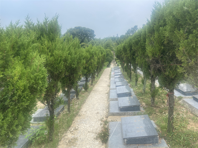 南京节地生态环保葬收费,生态葬