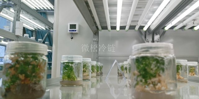 浙江中草药组培室费用是多少 欢迎来电 浙江微松冷链科技供应