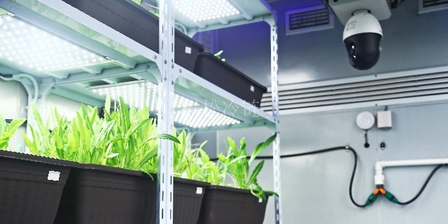 苏州光照型植物组培室按需定制 微松冷链 浙江微松冷链科技供应