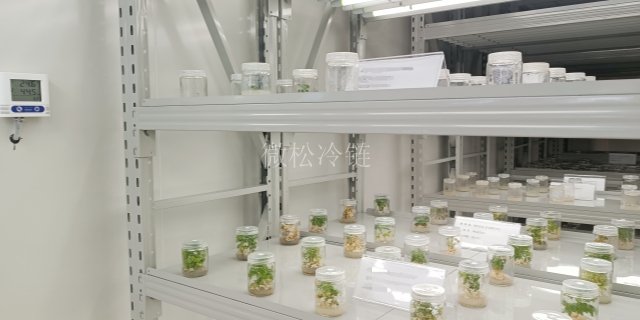 绍兴光照型植物组培室订制价格 微松冷链 浙江微松冷链科技供应