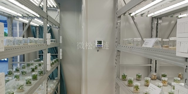 光照型植物组培室费用是多少 来电咨询 浙江微松冷链科技供应