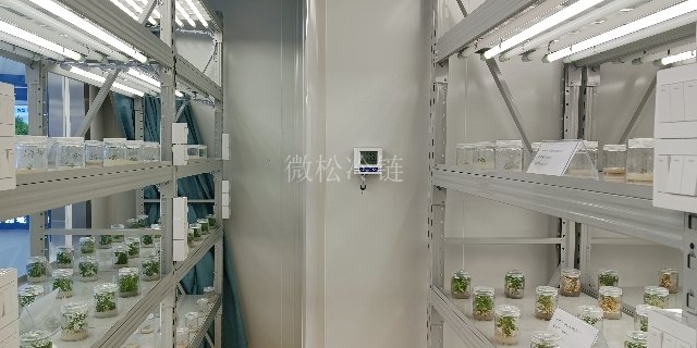 舟山光照型植物组培室检修 来电咨询 浙江微松冷链科技供应