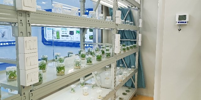 扬州光照型植物组培室修理 欢迎来电 浙江微松冷链科技供应