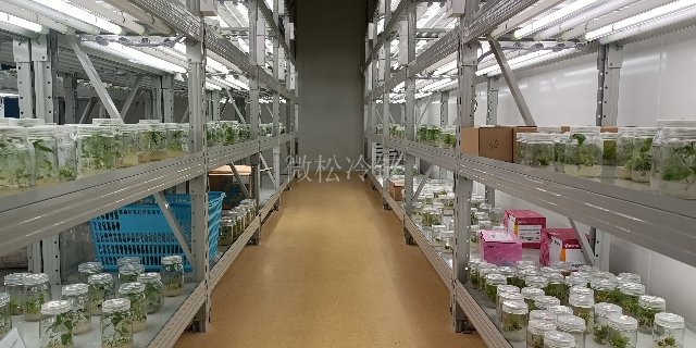 江苏光照型植物组培室报价 微松冷链 浙江微松冷链科技供应