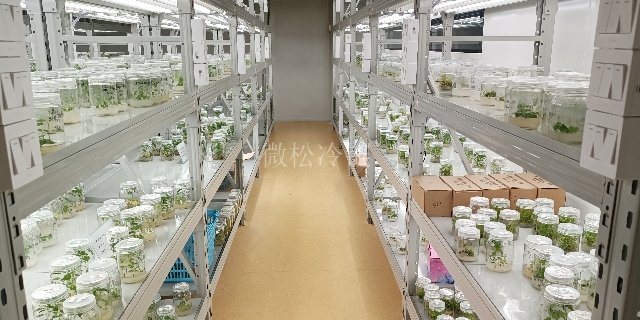 扬州植物组培室安装 微松冷链 浙江微松冷链科技供应