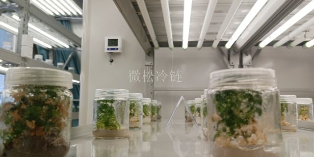 徐州中草药组培室代理商 欢迎来电 浙江微松冷链科技供应