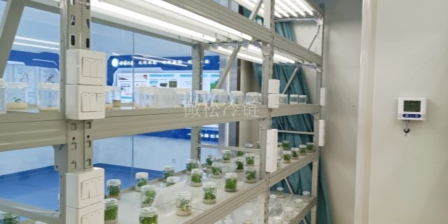 光照型植物组培室 微松冷链 浙江微松冷链科技供应