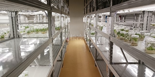 杭州植物组培室安装 来电咨询 浙江微松冷链科技供应