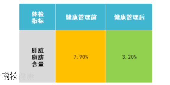 山东南松博士健康管理计划表